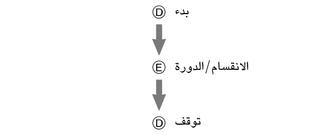 pr6N_fl_stw_SPL_LAP_btn_DED_str_sp_stp_60per