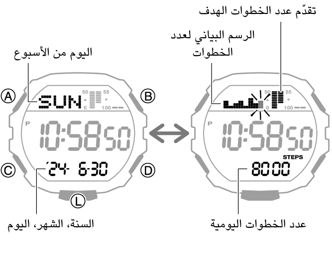 3567_66_fl_Pedometer