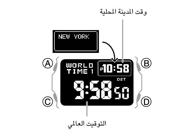 3578_20_WT