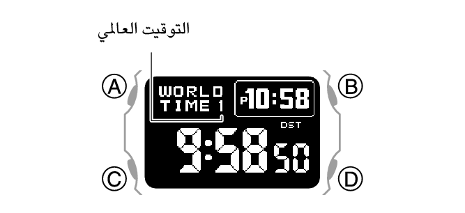 3578_21_WT