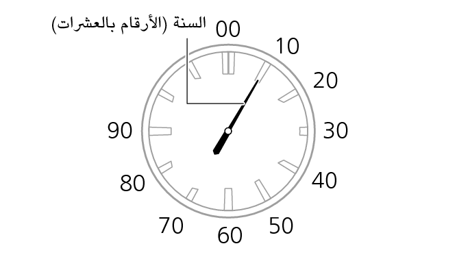 5466_year_10s_WS