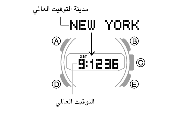5608_29_WT