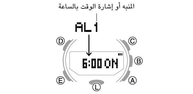 5594_81_ALM