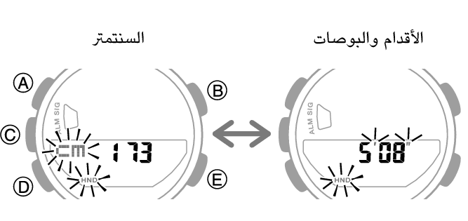 5641_69_fl_EN_Profile