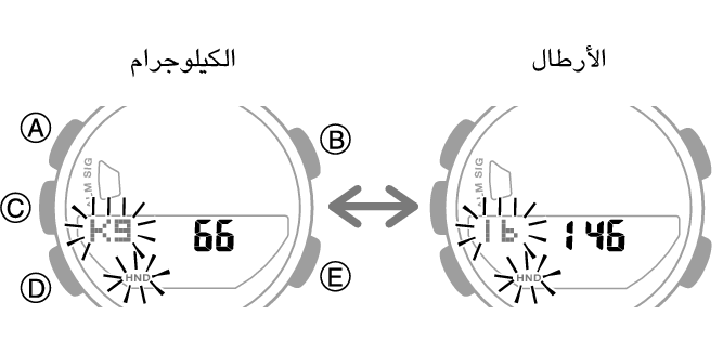 5641_70_fl_EN_Profile