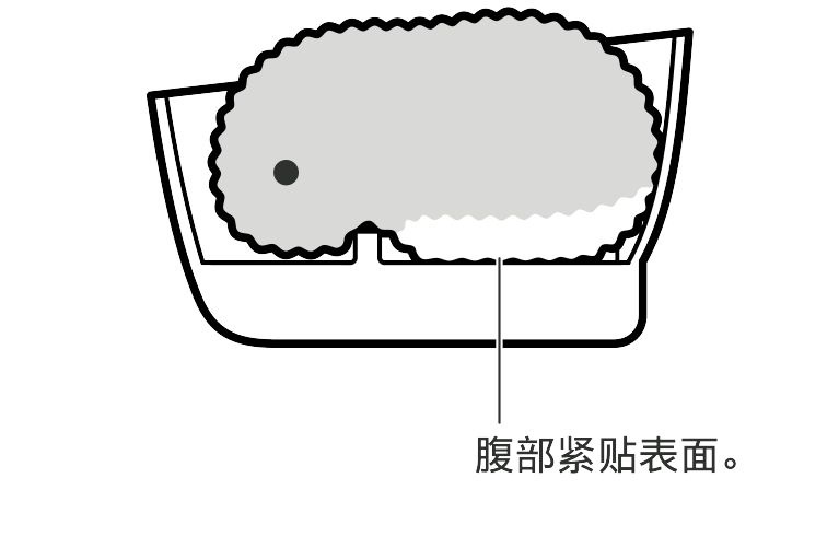 charge_set4