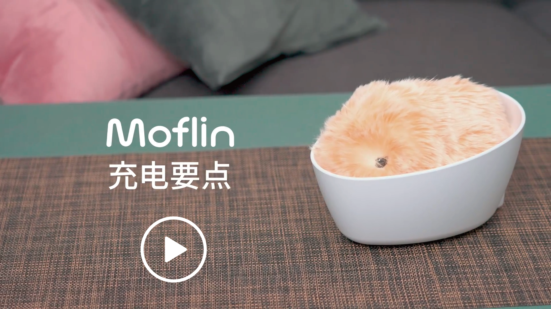 moflin_video_thumb_CN