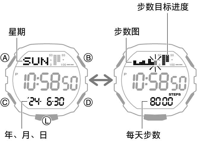 3567_66_fl_Pedometer