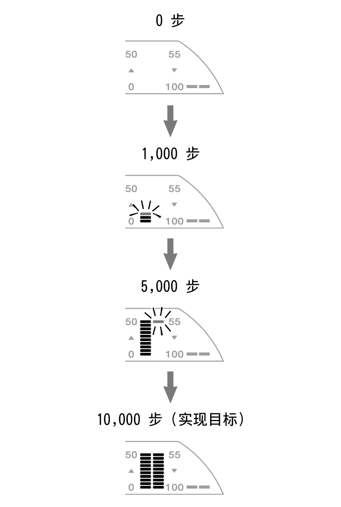 3567_fl_steps_Pedometer