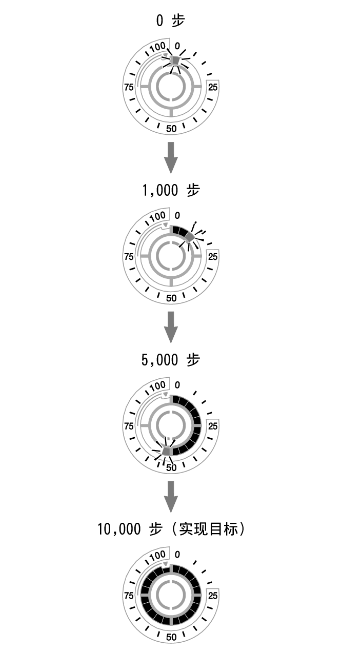 5736_fl_steps_Pedometer