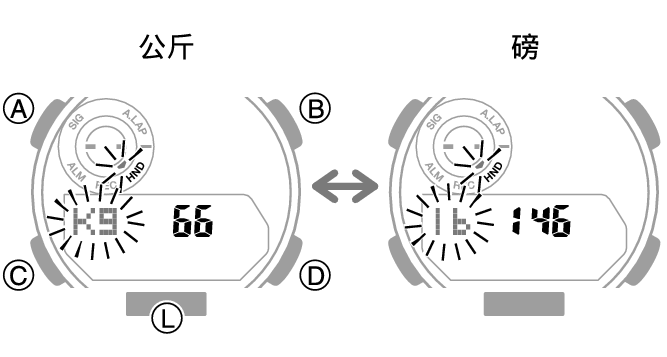 5737_02_fl_EN_Profile