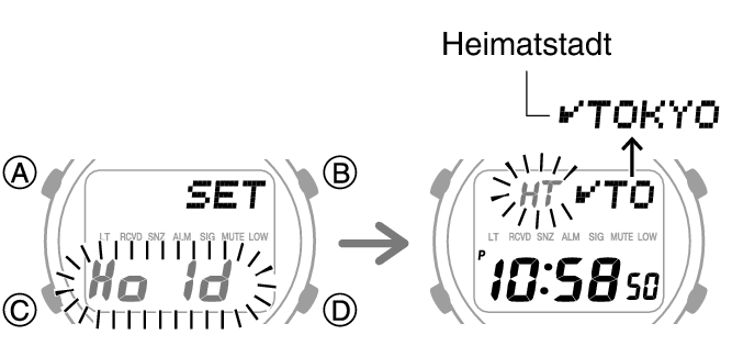 3542_fl_HT_SET_comon