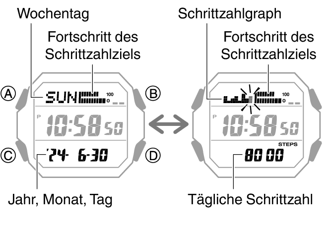 3552_47_fl_Pedometer