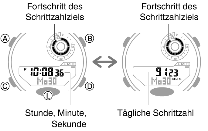 5736_46_fl_Pedometer