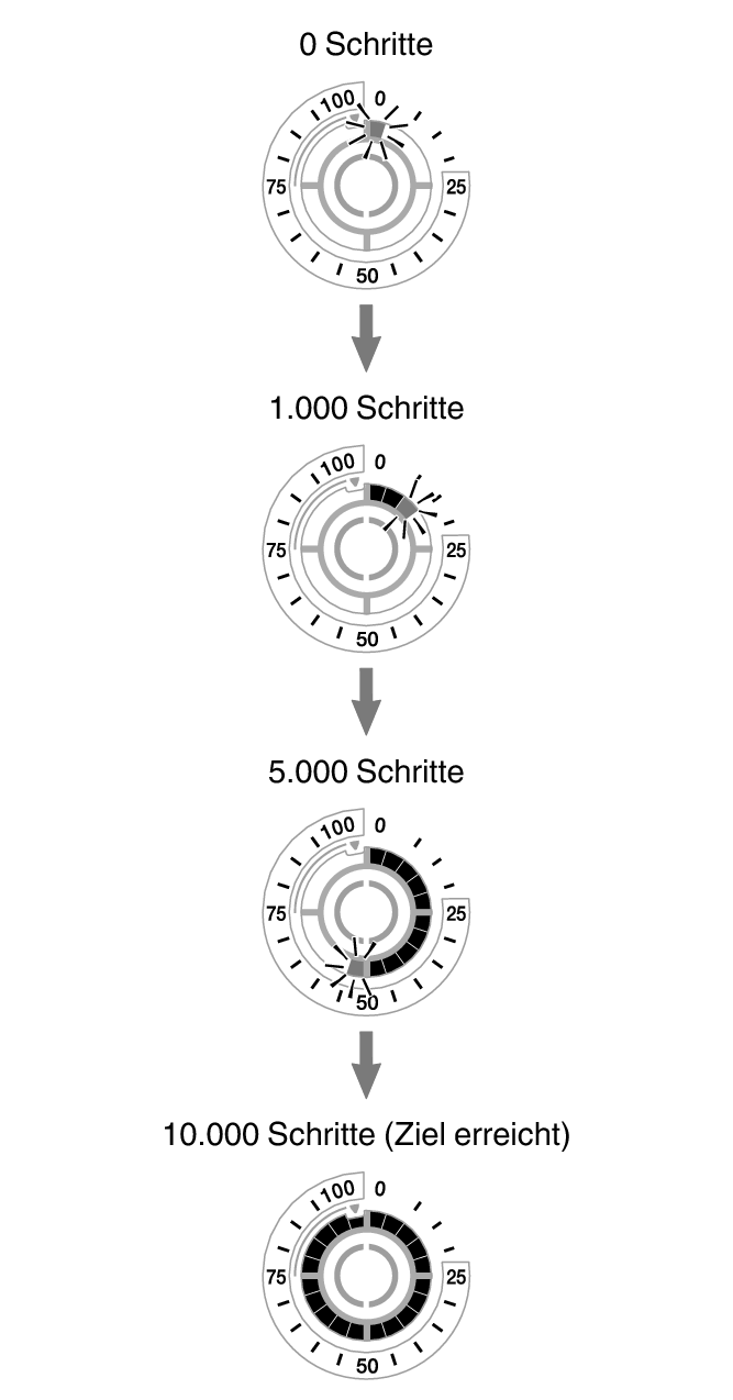 5736_fl_steps_Pedometer