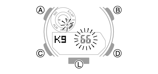 5737_02_Profile_comon