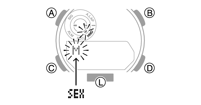 5737_03_Profile_comon