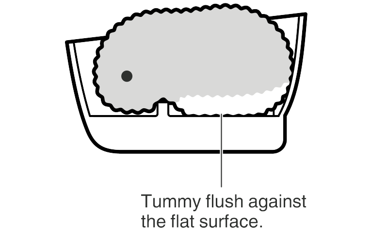 charge_set4