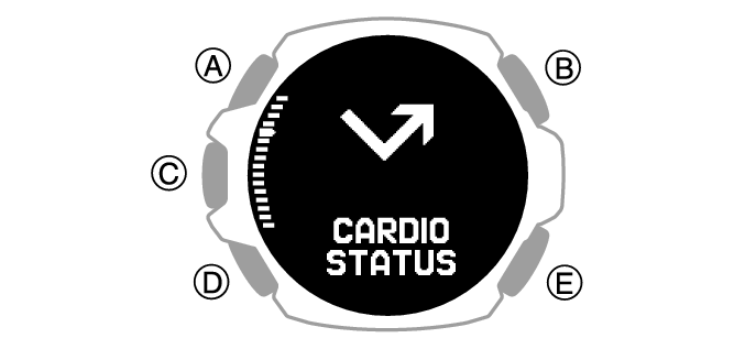 3515_CARDIO