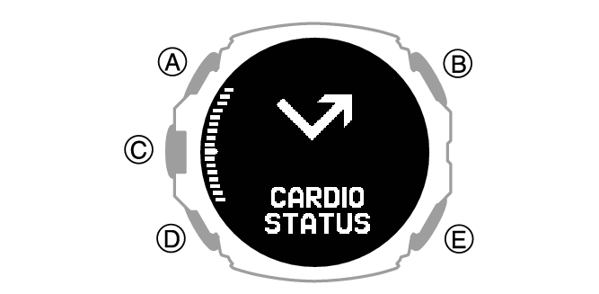 3554_CARDIO