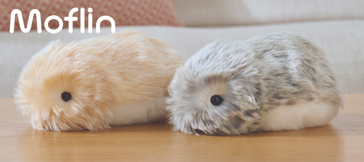 moflin_PE-