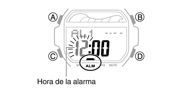 Cómo Poner la Hora, Fecha, Alarma, Mute del Reloj CASIO