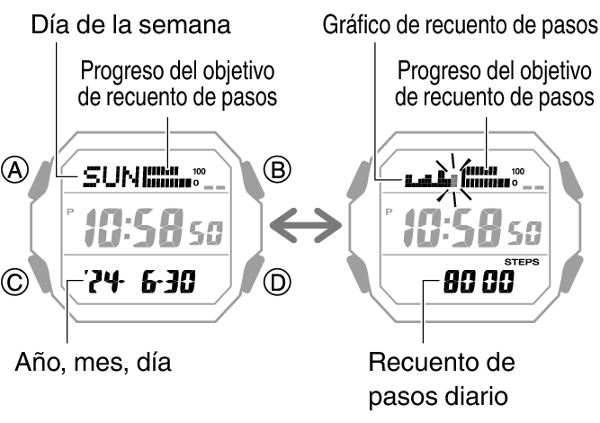 3552_47_fl_Pedometer