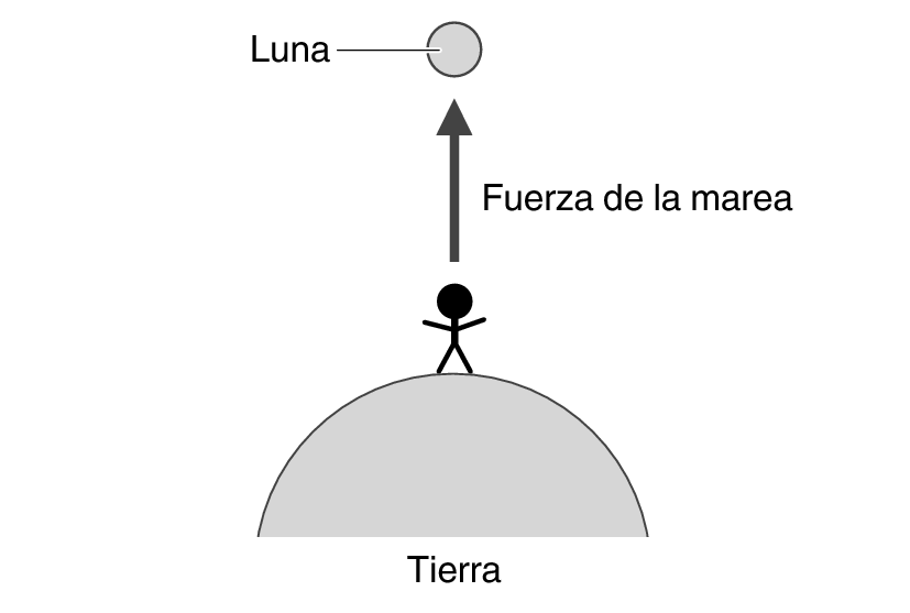 img_1_MoonTideInterval