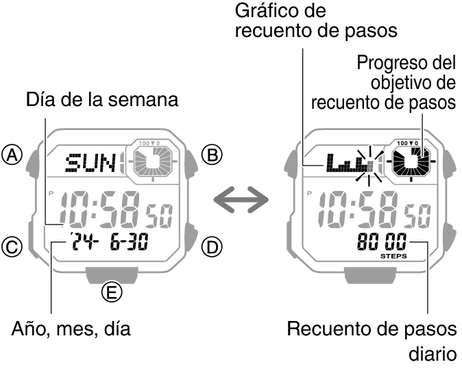 3564_44_fl_Pedometer