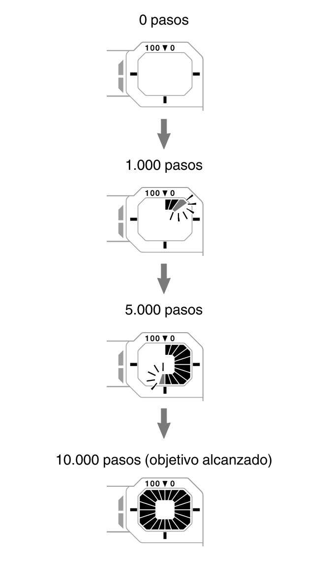 3564_fl_steps_Pedometer