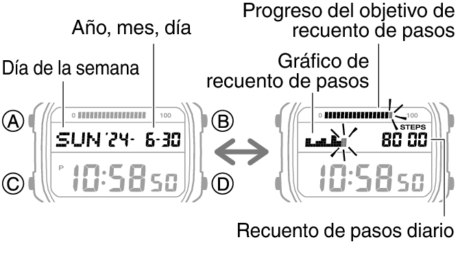 3565_47_fl_Pedometer