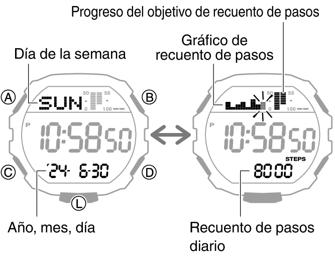 3567_66_fl_Pedometer