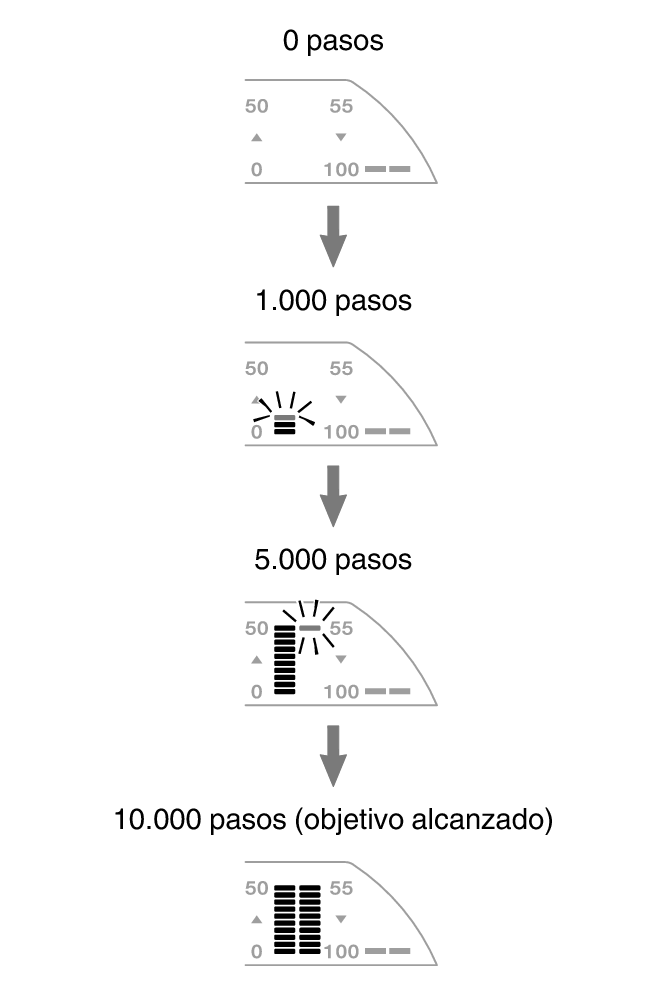 3567_fl_steps_Pedometer