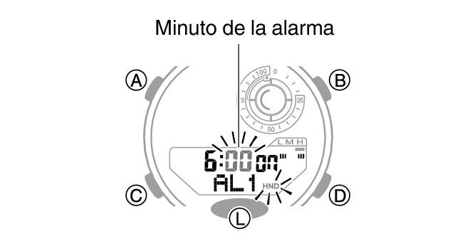 5736_28_ALM