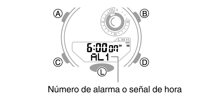 5736_33_ALM
