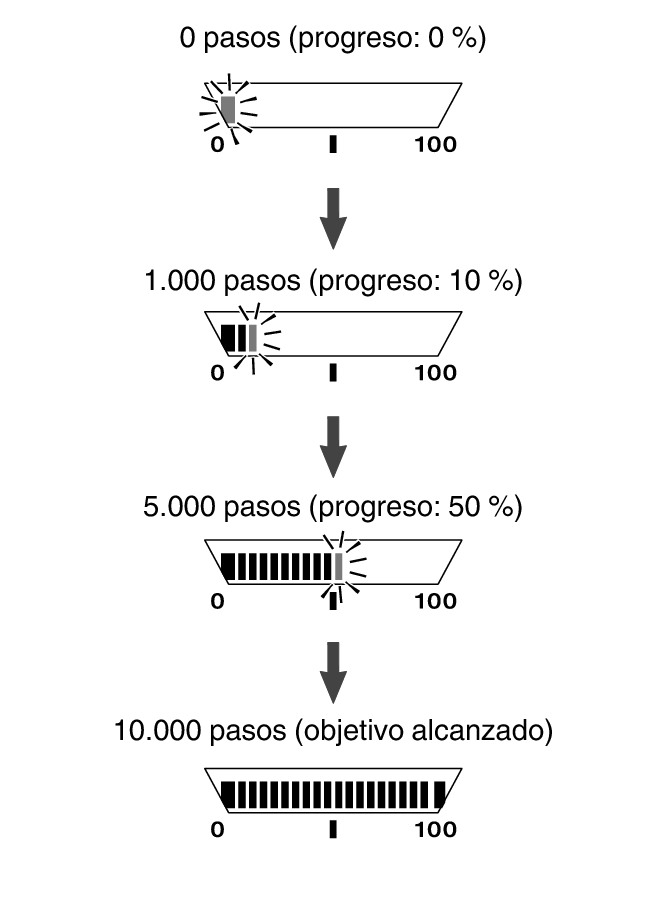 5737_fl_steps_LifeLog