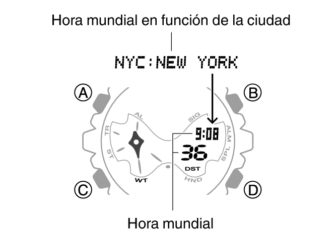 5751_12_WT