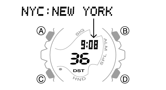 5751_13_WT