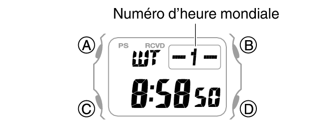 3501_20_WT