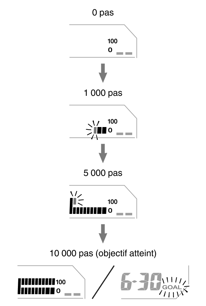 3552_fl_steps_Pedometer