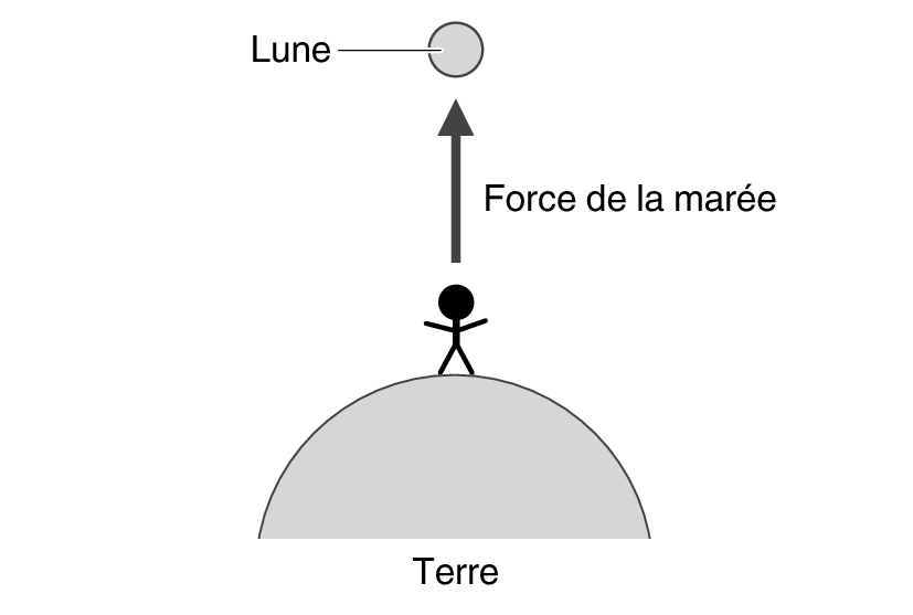 img_1_MoonTideInterval