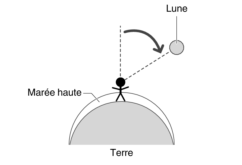 img_2_MoonTideInterval