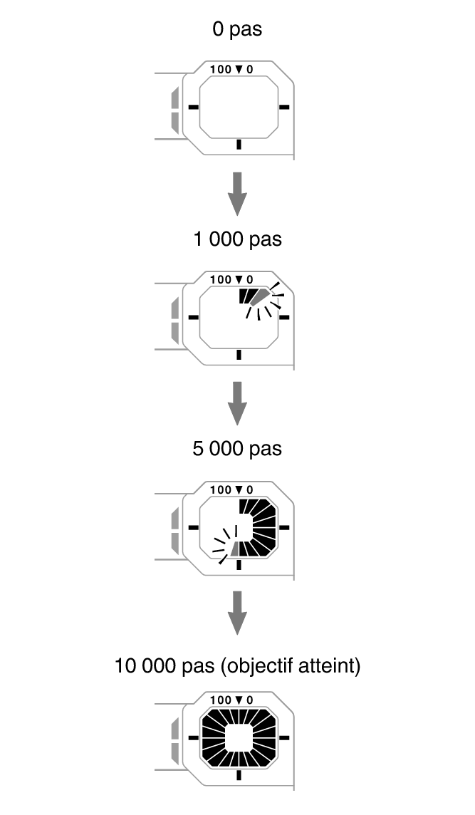 3564_fl_steps_Pedometer