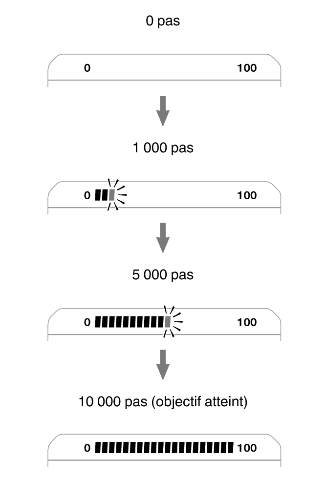 3565_fl_steps_Pedometer