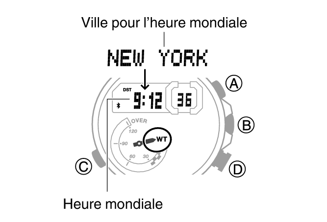 5708_25_WT