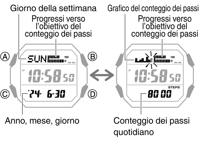 3552_47_fl_Pedometer