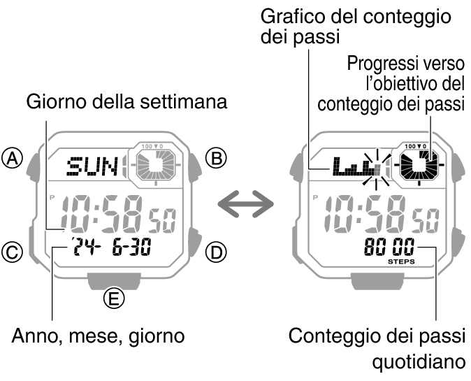 3564_44_fl_Pedometer