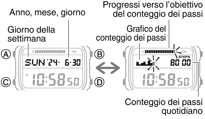 3565_47_fl_Pedometer