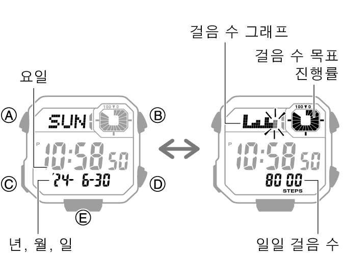 3564_44_fl_Pedometer