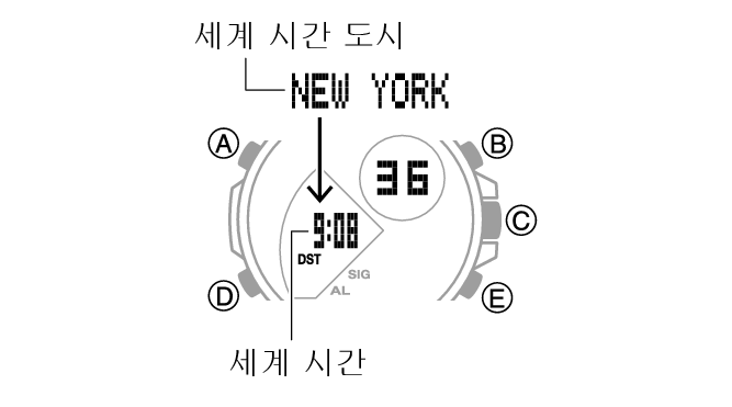 5582_27_WT